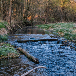 A calm river flowing through nature, symbolising how EMDR restores the natural flow of life after trauma
