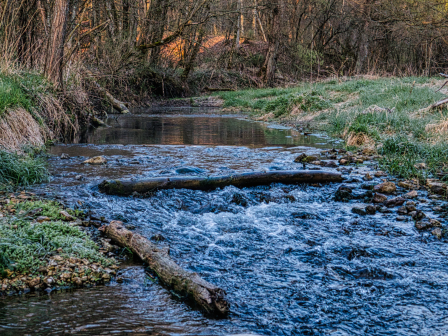River with a natural dam